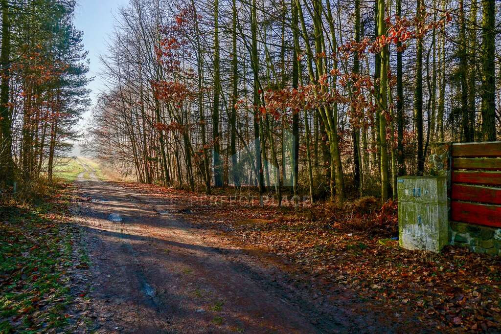 Działka Sprzedaż Waleriany