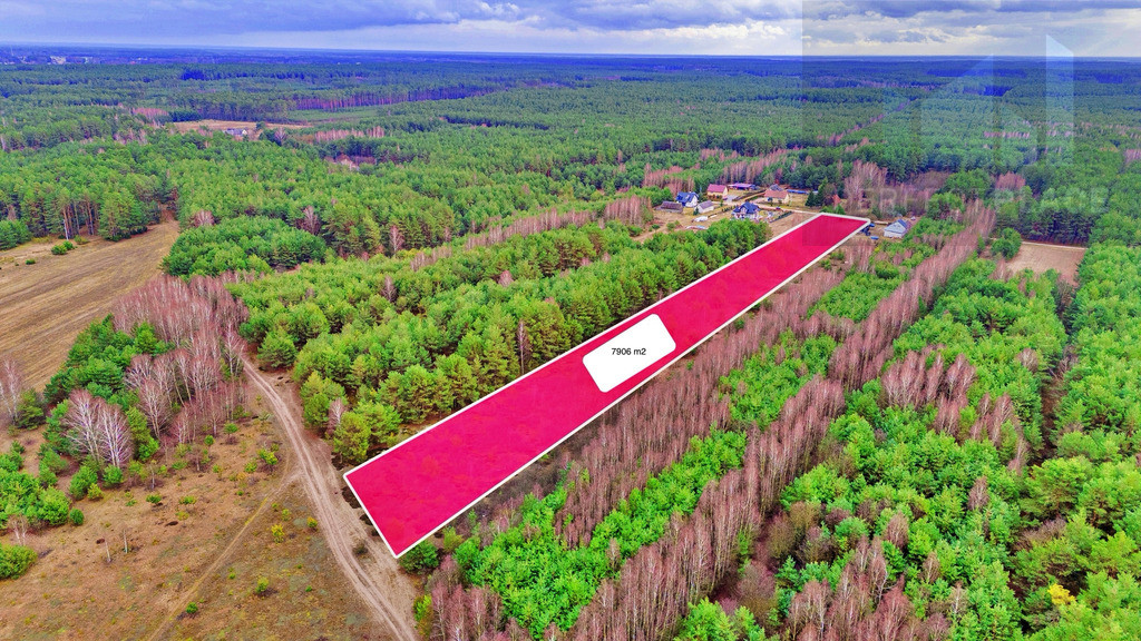Działka Sprzedaż Kalinowo