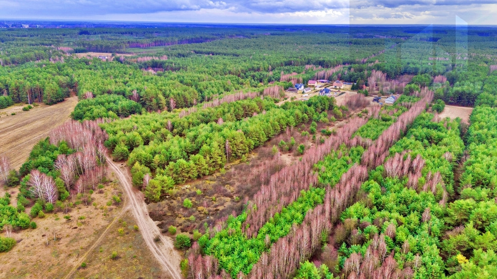 Działka Sprzedaż Kalinowo