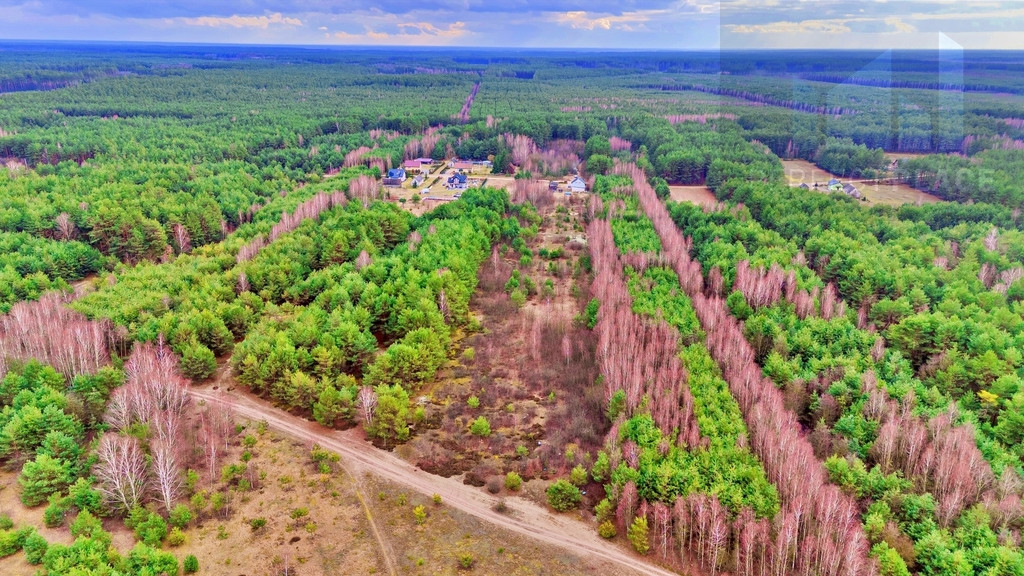 Działka Sprzedaż Kalinowo