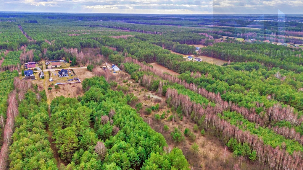 Działka Sprzedaż Kalinowo