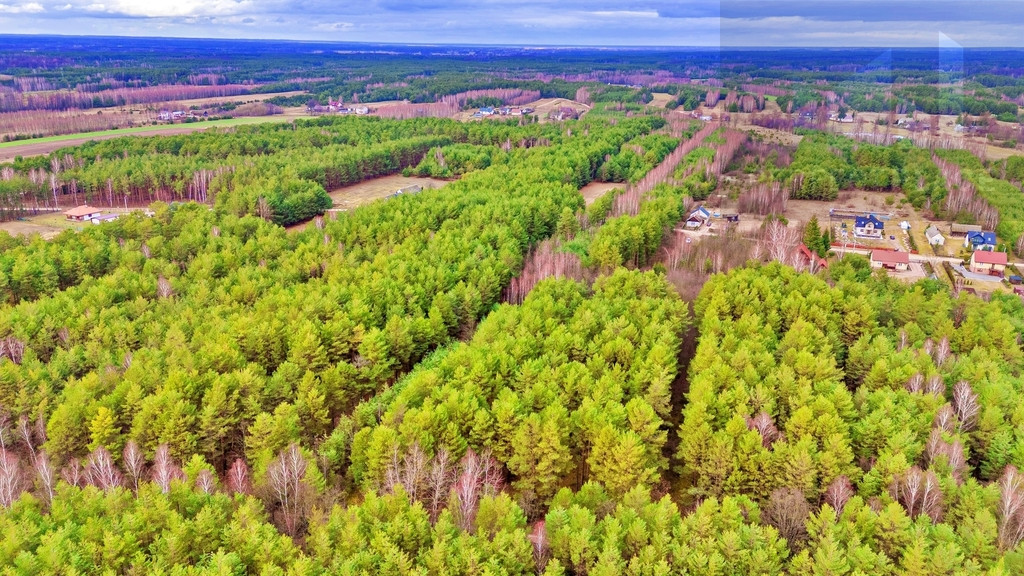 Działka Sprzedaż Kalinowo