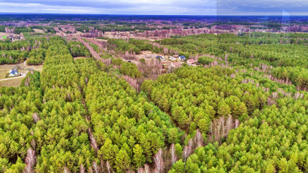 Działka Sprzedaż Kalinowo