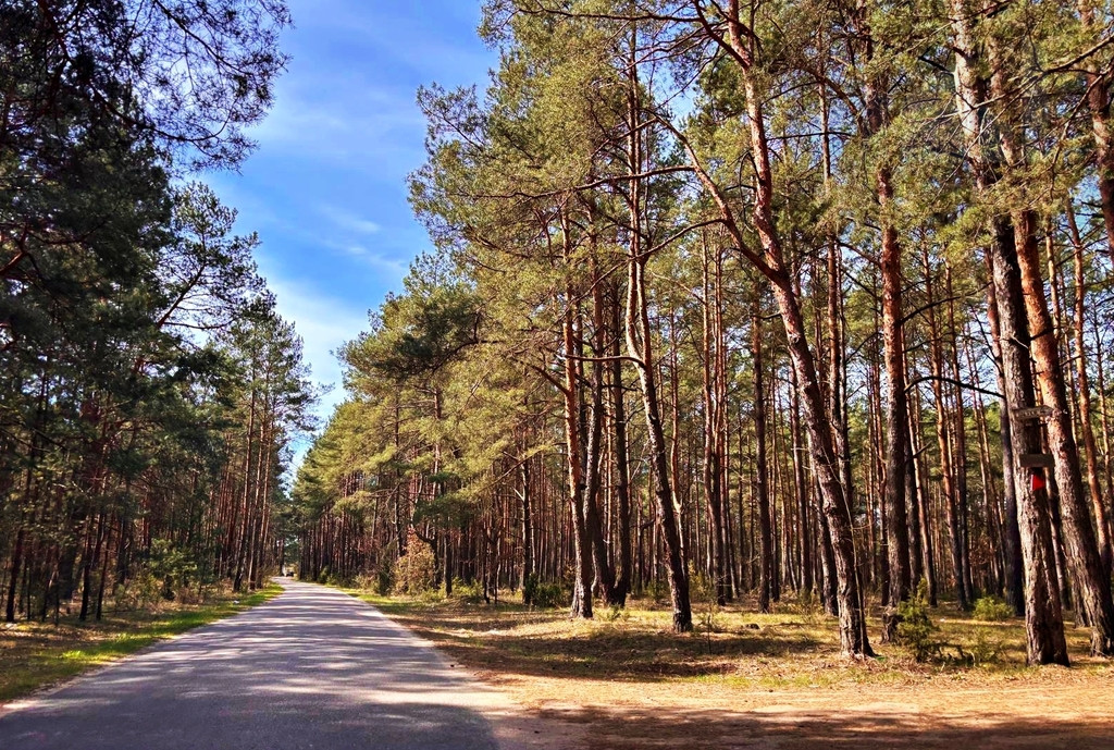 Działka Sprzedaż Kalinowo