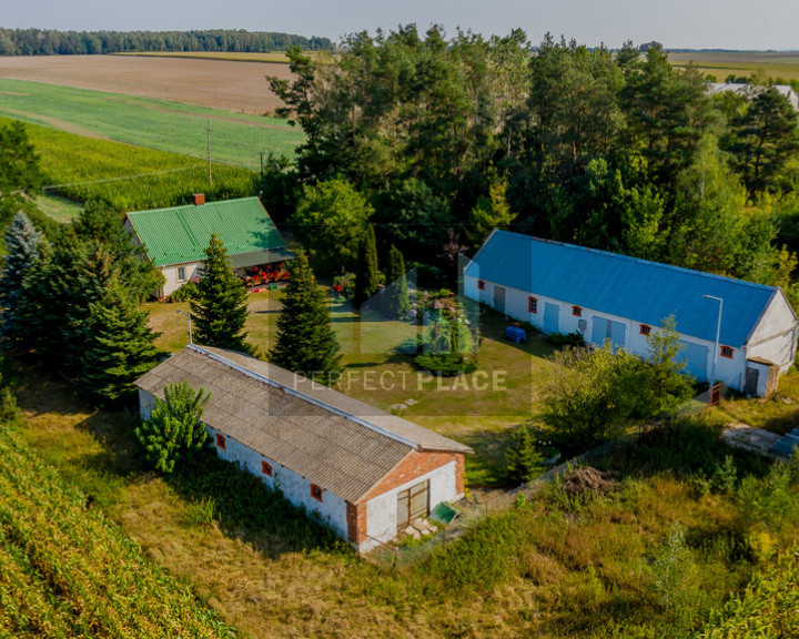 Dom Sprzedaż Bałki