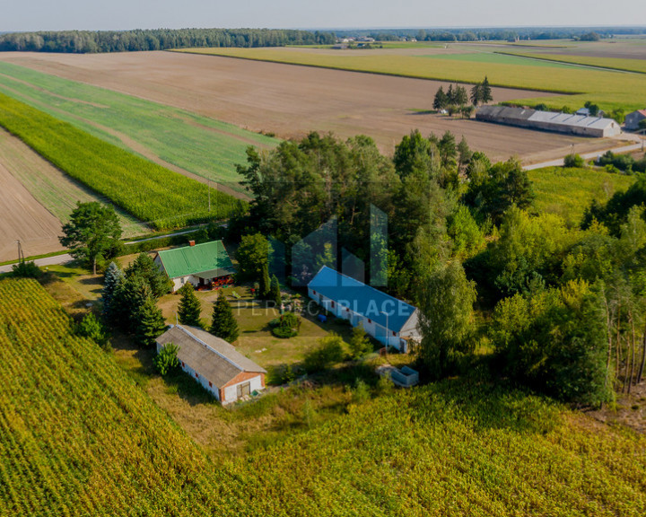 Dom Sprzedaż Bałki