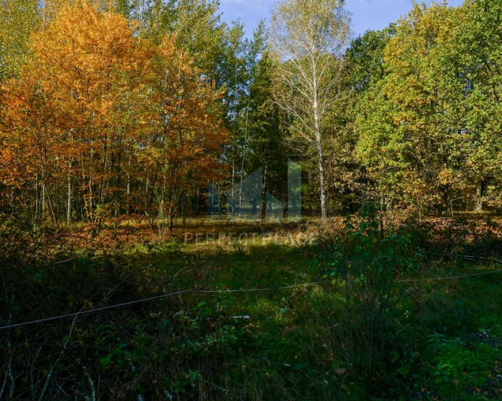 Działka Sprzedaż Puszcza Mariańska Akacjowa