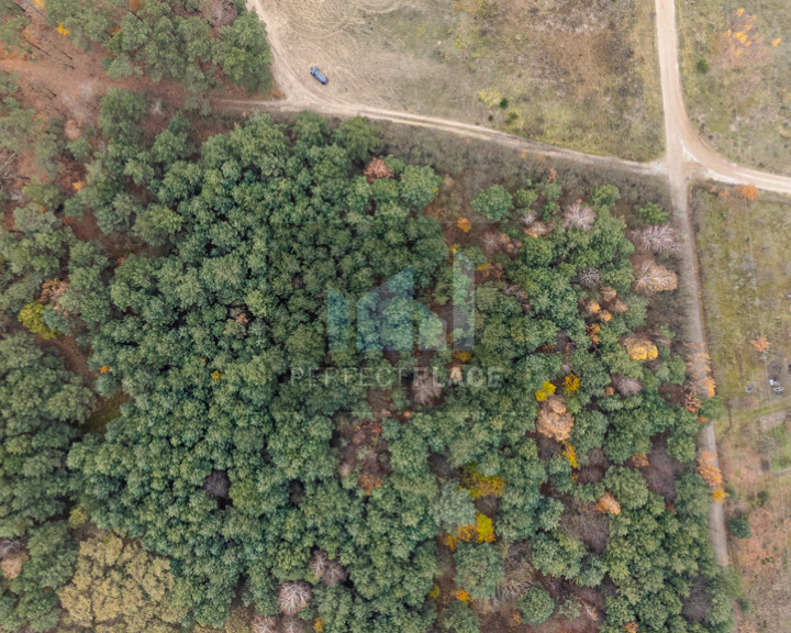 Działka Sprzedaż Siestrzeń Nad Lasem