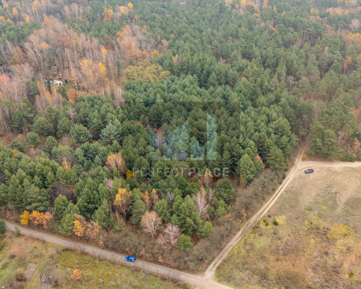 Działka Sprzedaż Siestrzeń Nad Lasem