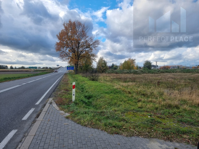 Działka Sprzedaż Pełczyska 2