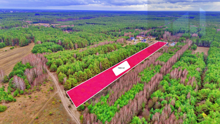 Działka Sprzedaż Kalinowo 13