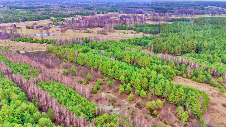 Działka Sprzedaż Kalinowo 19