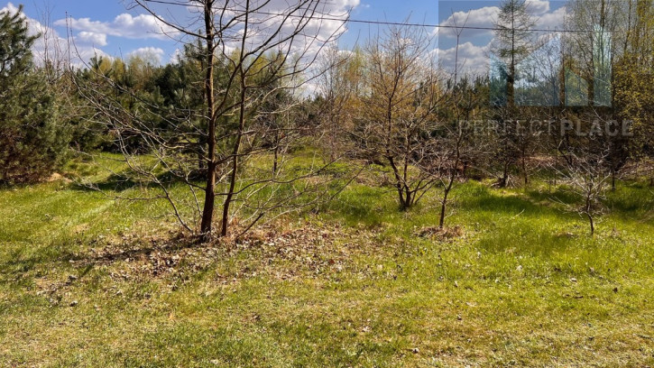 Działka Sprzedaż Nowy Prażmów 2