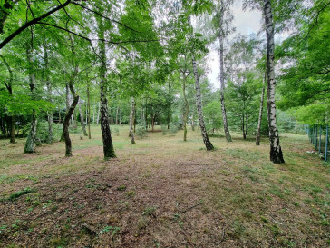 Działka Sprzedaż Książenice al.&nbsp;Sadowa