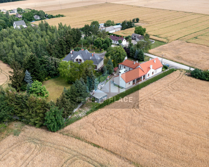 Dom Sprzedaż Rogalin Jesionowa