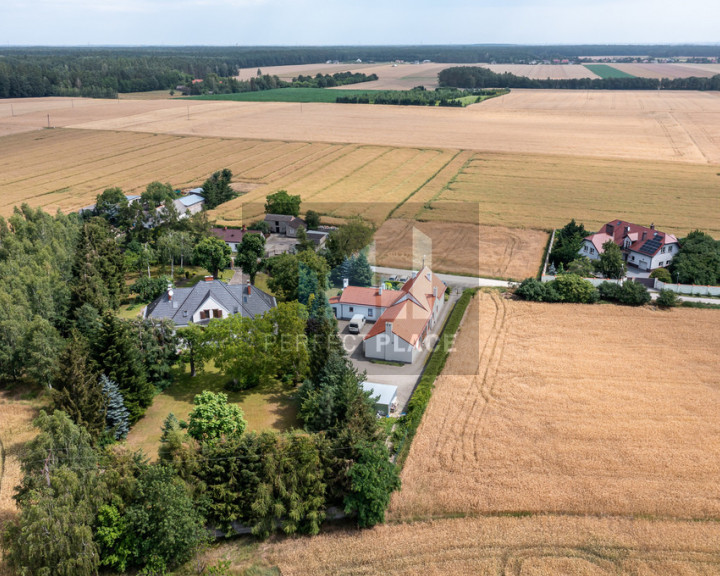 Dom Sprzedaż Rogalin Jesionowa