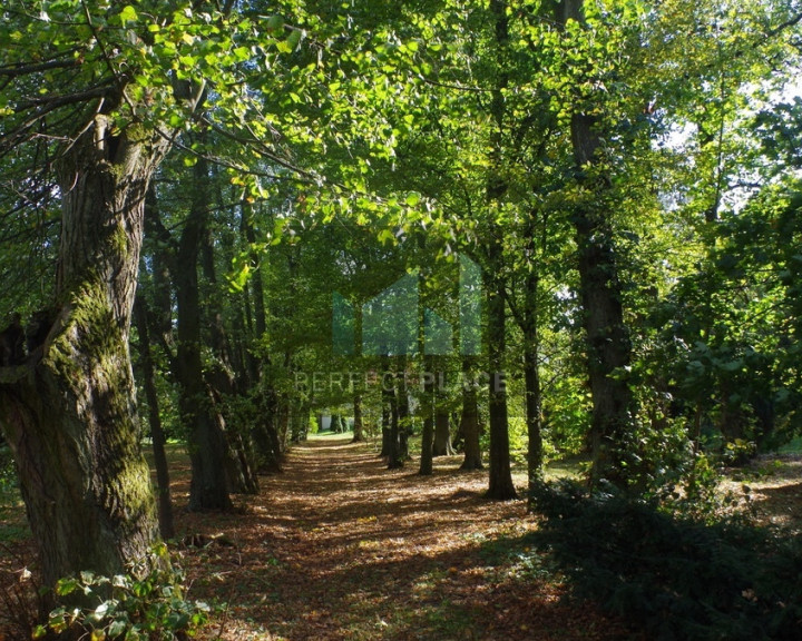 Obiekt Sprzedaż Kolonia Paplin